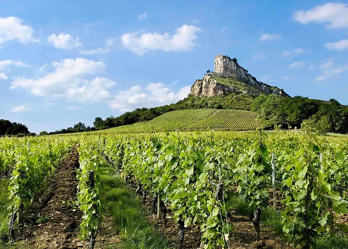 Hôtel Mercure Mâcon Bord de Saône
